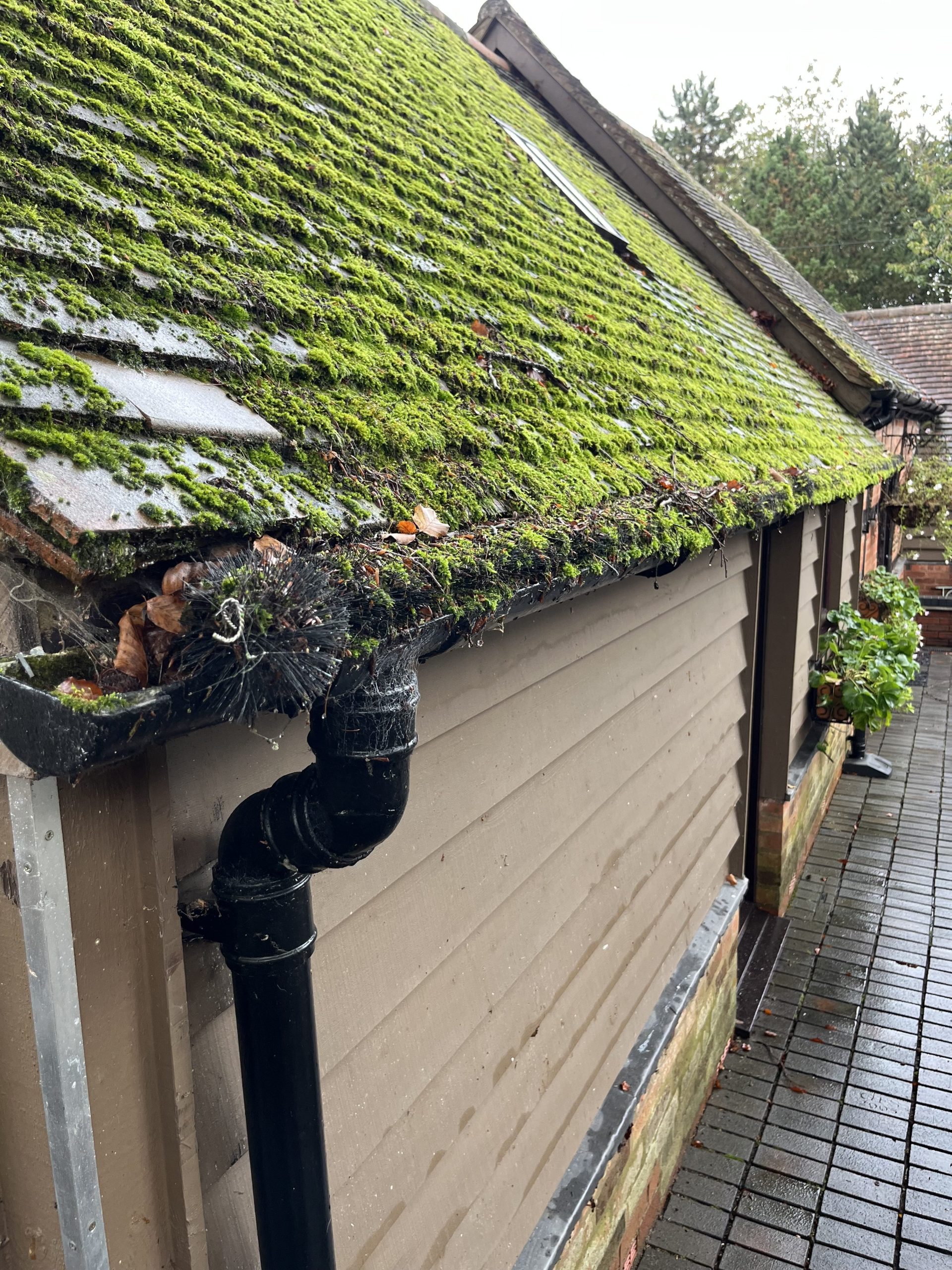 Gutter hedgehog brush filled with leaves and organic debris