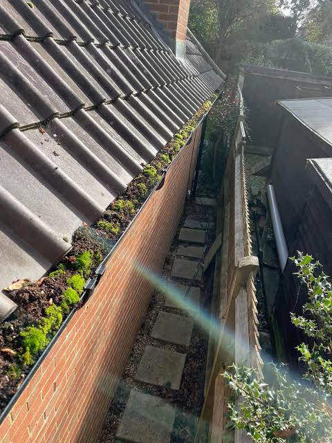 Residential gutter blocked with accumulated debris