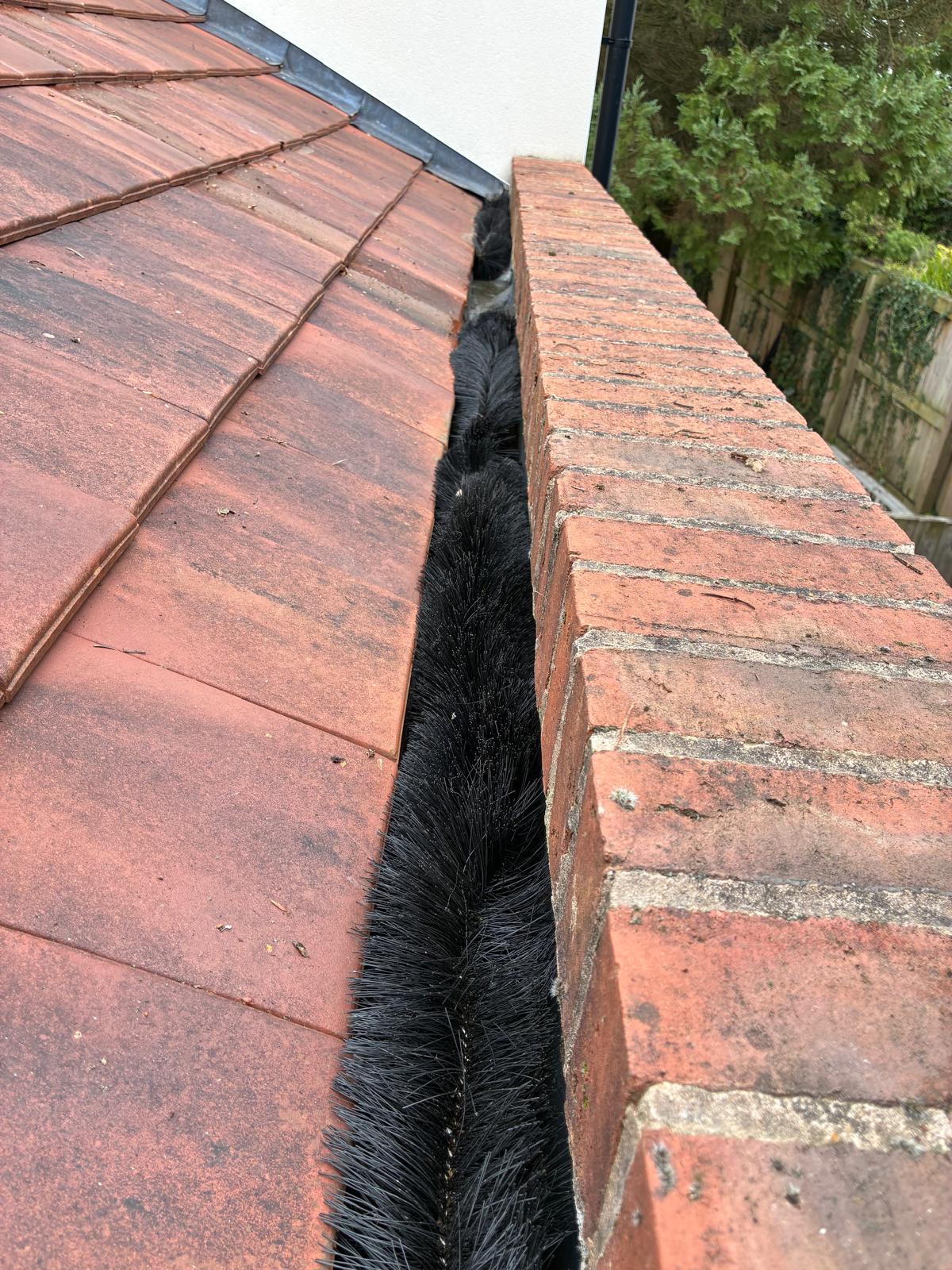 Gutter hedgehog being dealt with during gutter cleaning in Woodford Stockport