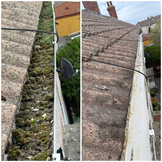 Before and after comparison of a moss-filled gutter after professional clearing